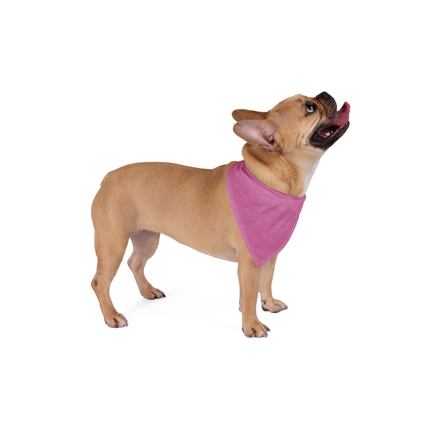 Fish Bone Heart Print Pet Bandana Pink - Stylish Accessory for Dogs and Cats