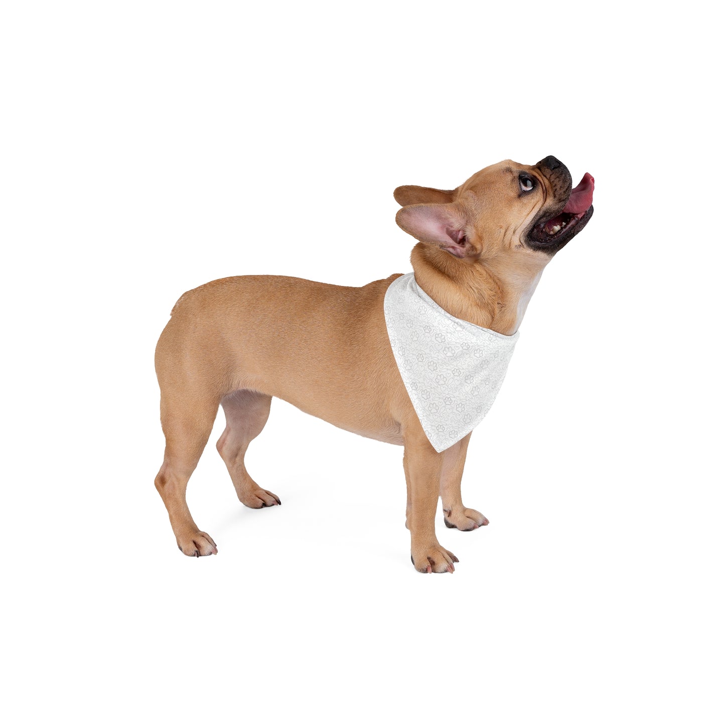 Fish bone heart Print Pet Bandana White - Stylish Accessory for Dogs and Cats