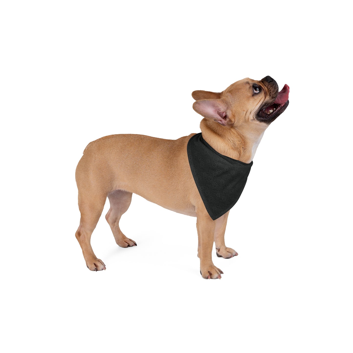 Fish Bone Heart Print Pet Bandana Black - Stylish Accessory for Dogs and Cats